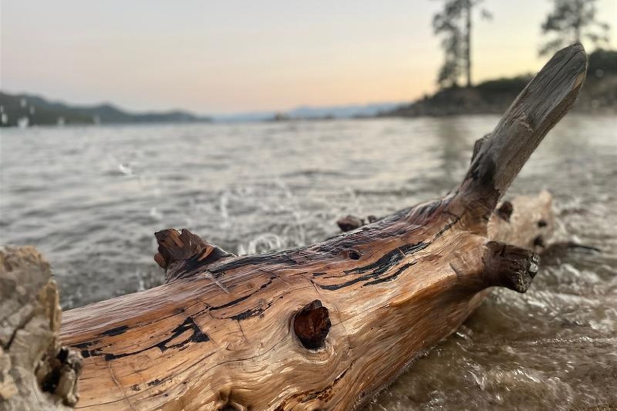 Kai Moreno scoring a volley